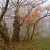 Gennady Pugachevsky: Autumnal fog
